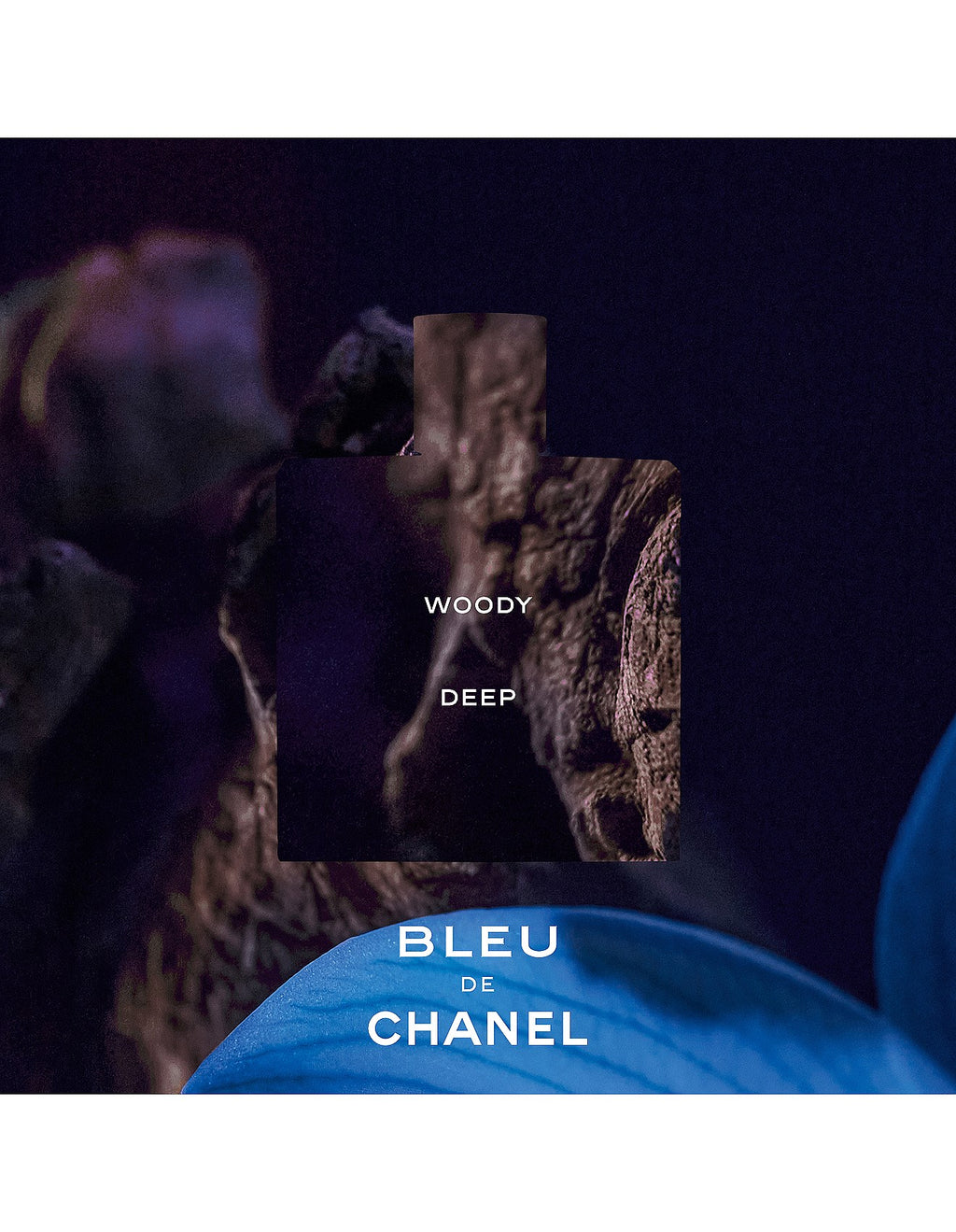 BLEU DE CHANEL Parfum Spray 100ml