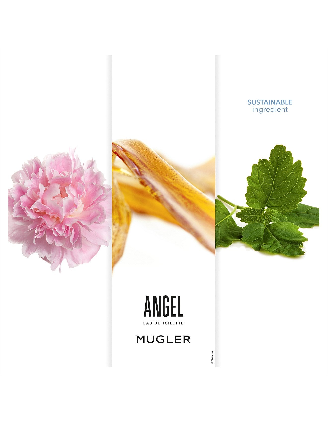 ANGEL EDT 50ML REFILLABLE