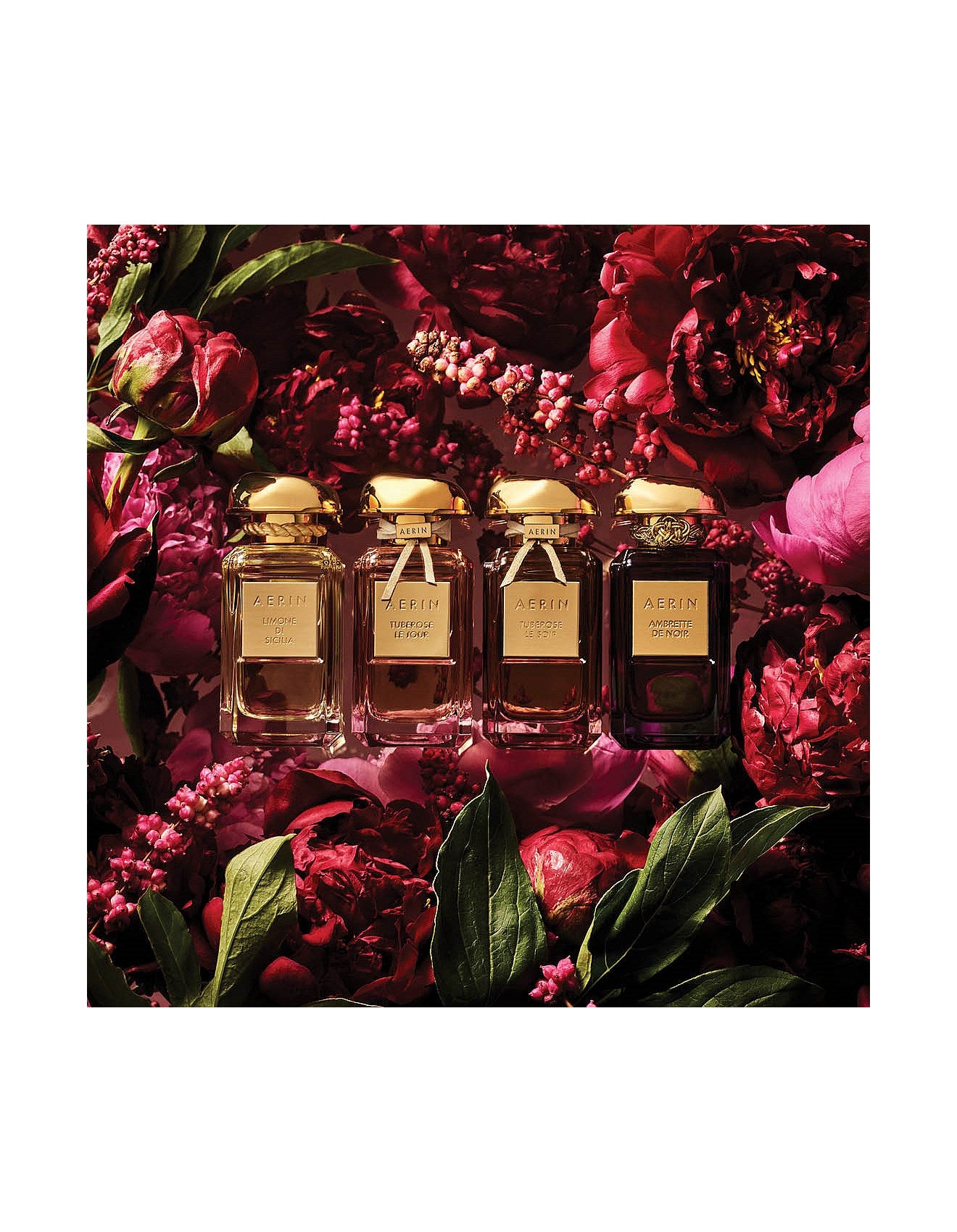 AMBRETTE DE NOIR PARFUM 50ML