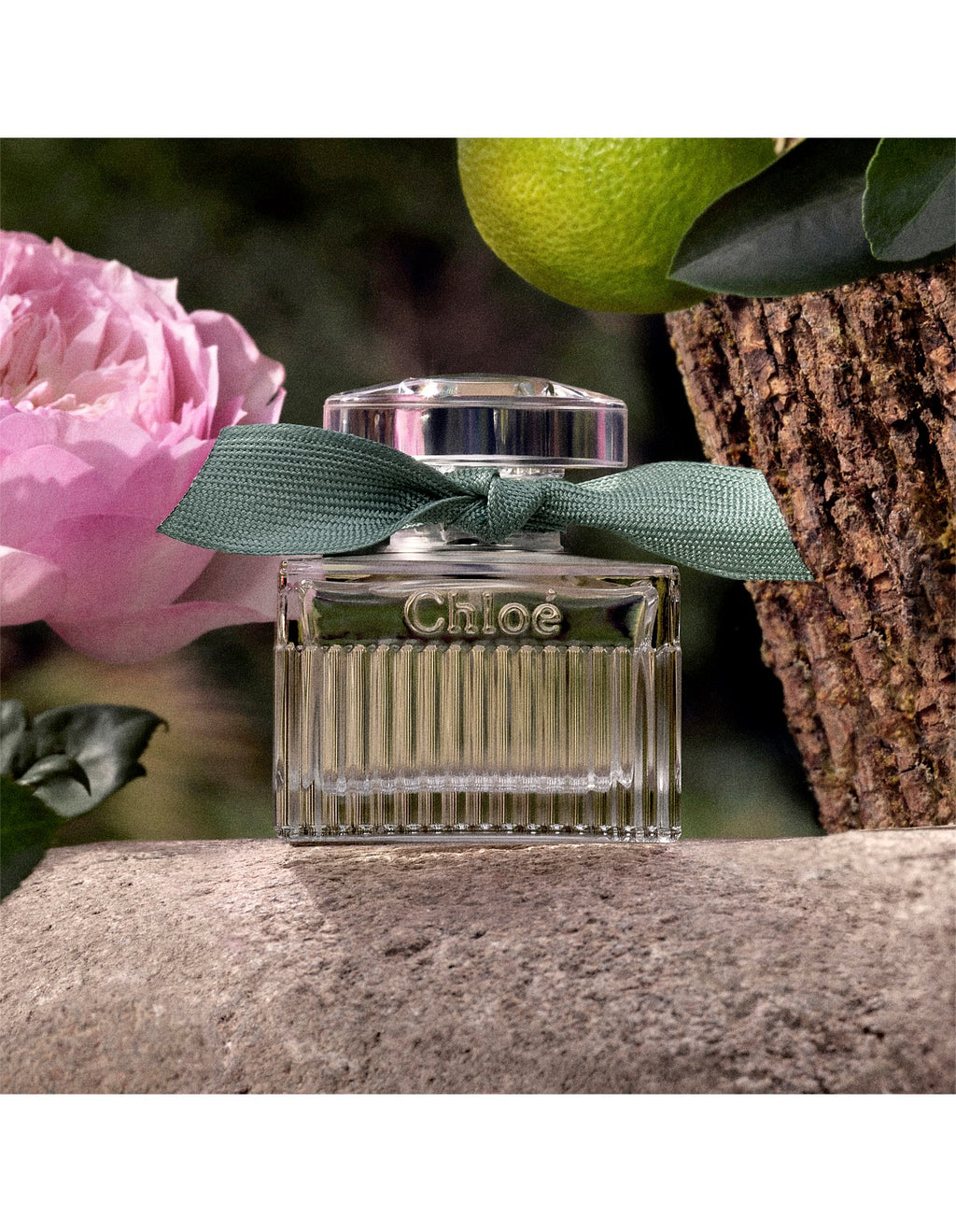 ROSES NATURELLE INTENSE LIMITED EDITION EAU DE PARFUM 30ML