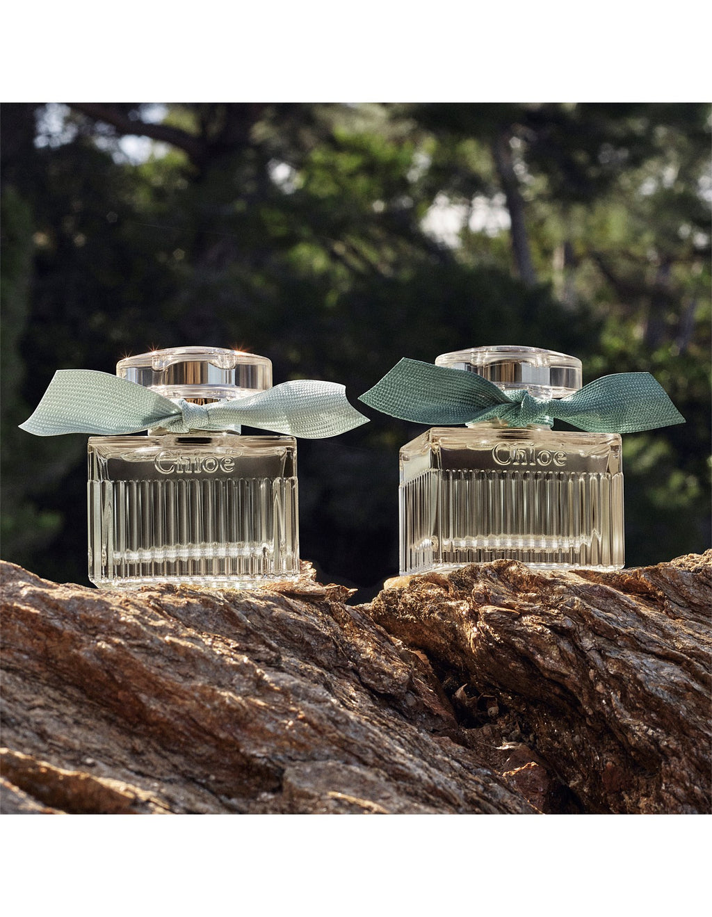 ROSES NATURELLE INTENSE LIMITED EDITION EAU DE PARFUM 30ML