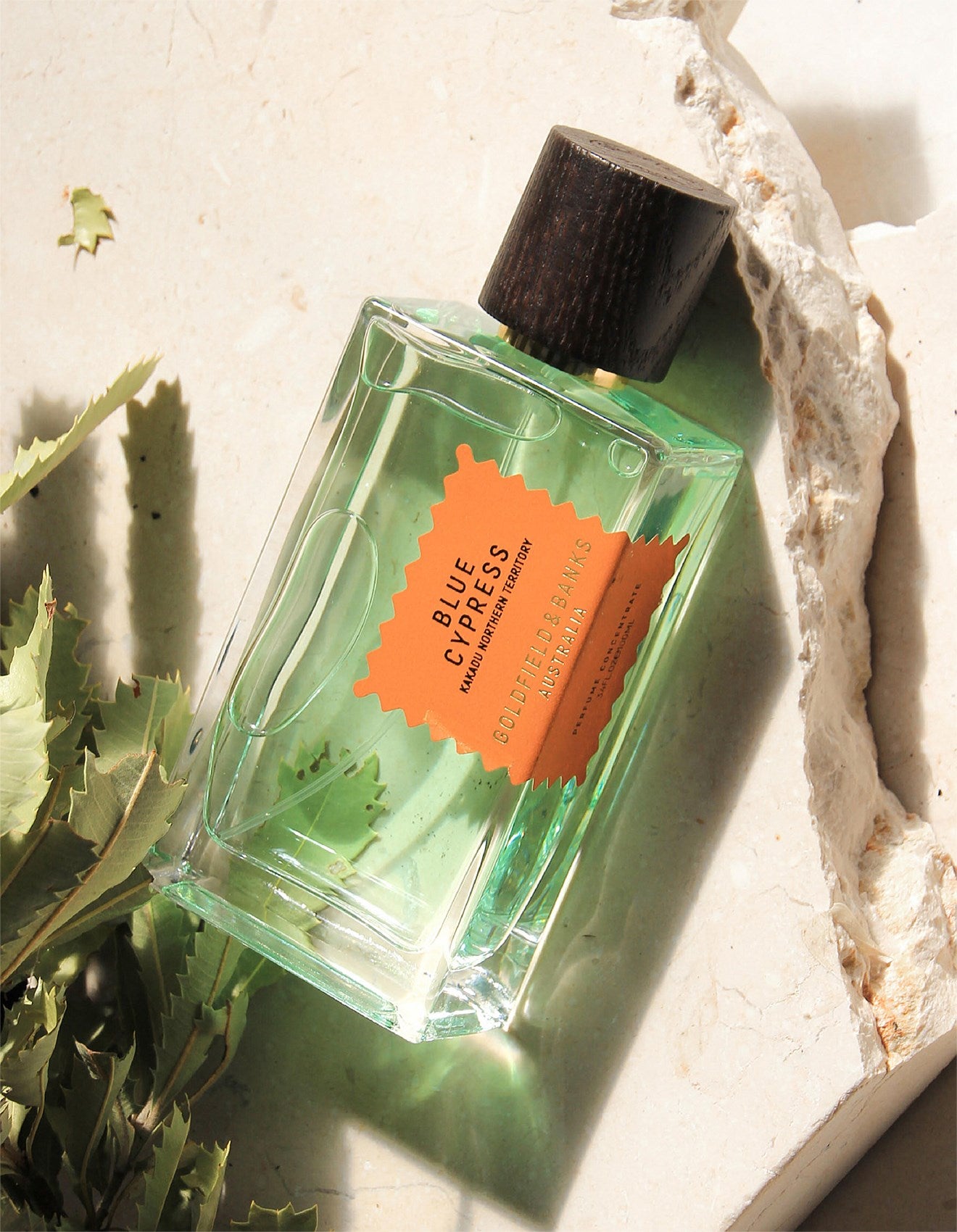 BLUE CYPRESS EAU DE PARFUM 100ML