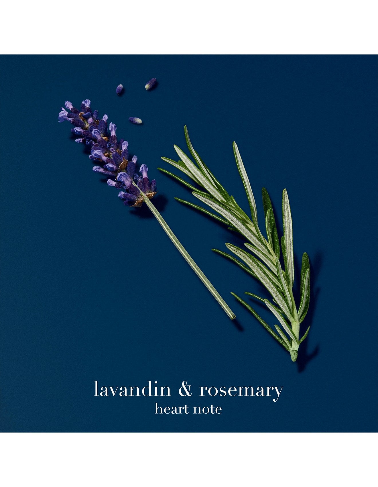 ACQUA DI GIO HOMME PROFONDO REFILL 150ML