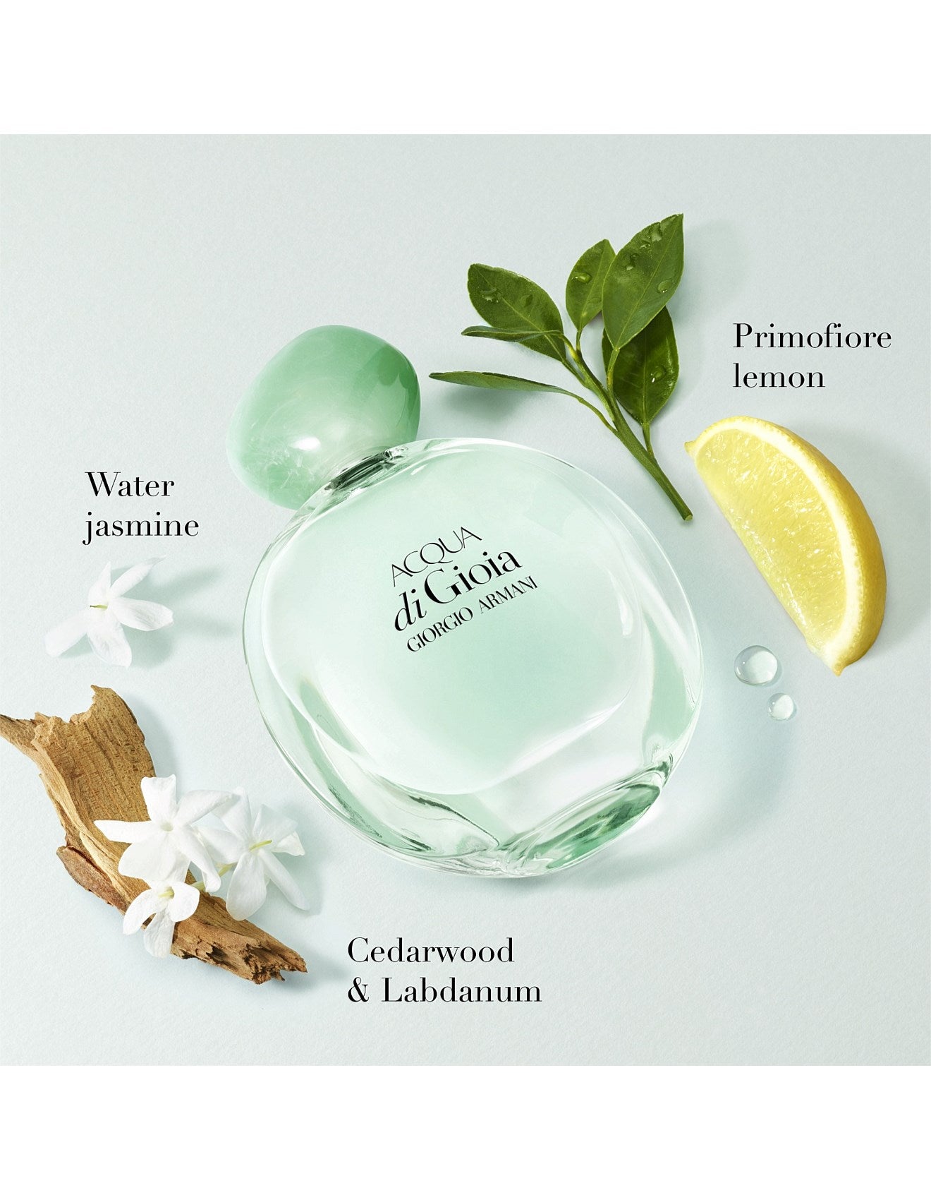 ACQUA DI GIOIA EAU DE PARFUM INTENSE 50ML