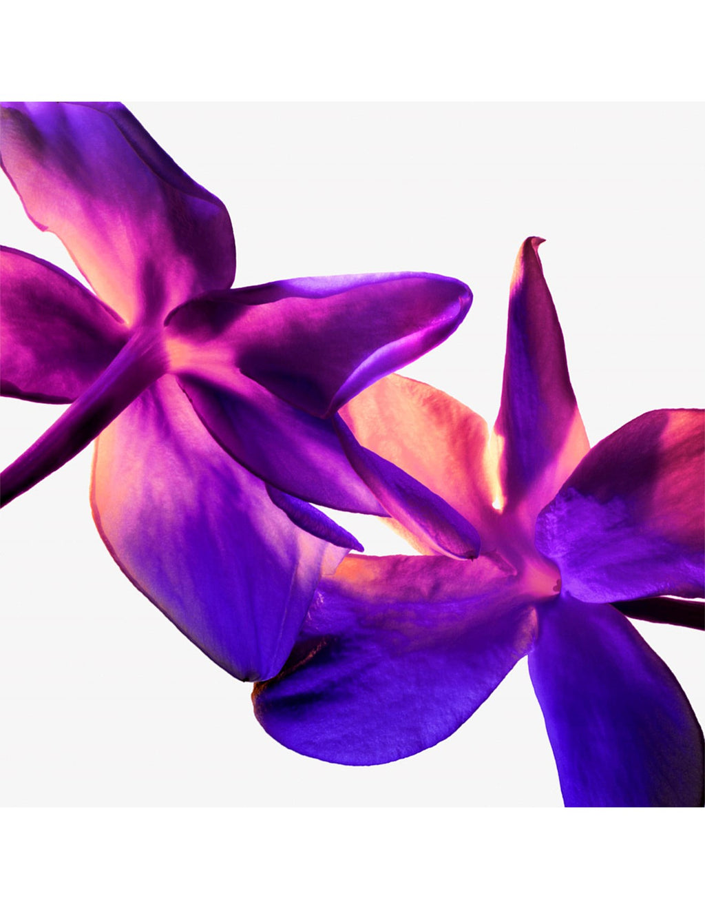 ALIEN SUPRASENSES EDP 10ML