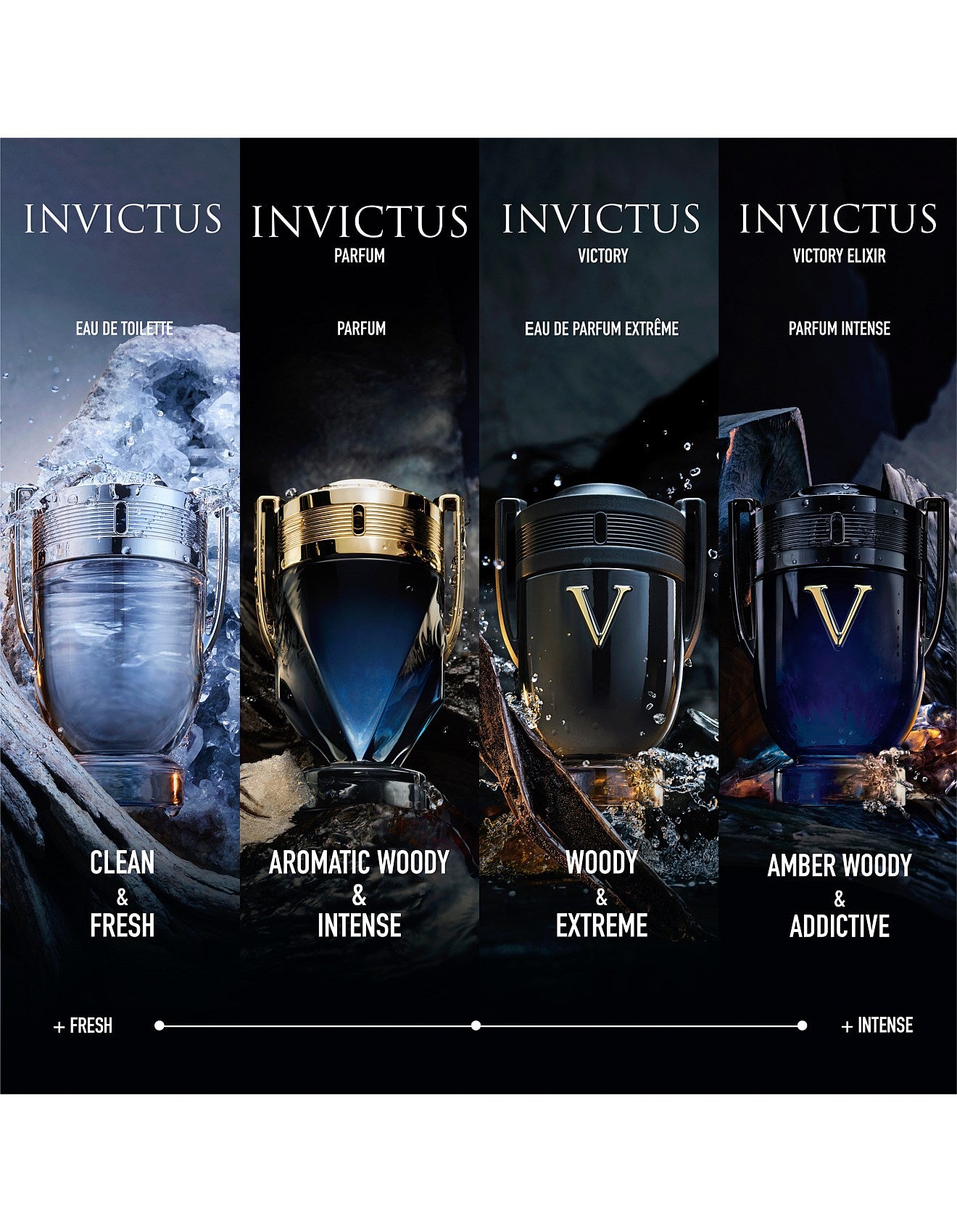 INVICTUS PARFUM 50ML