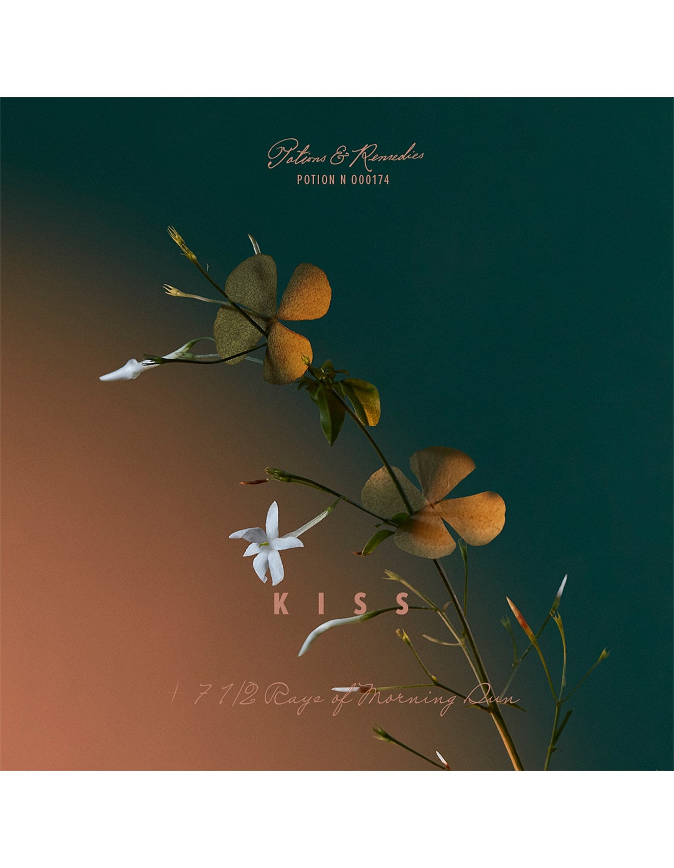 A KISS OF BLISS EDP 100ML