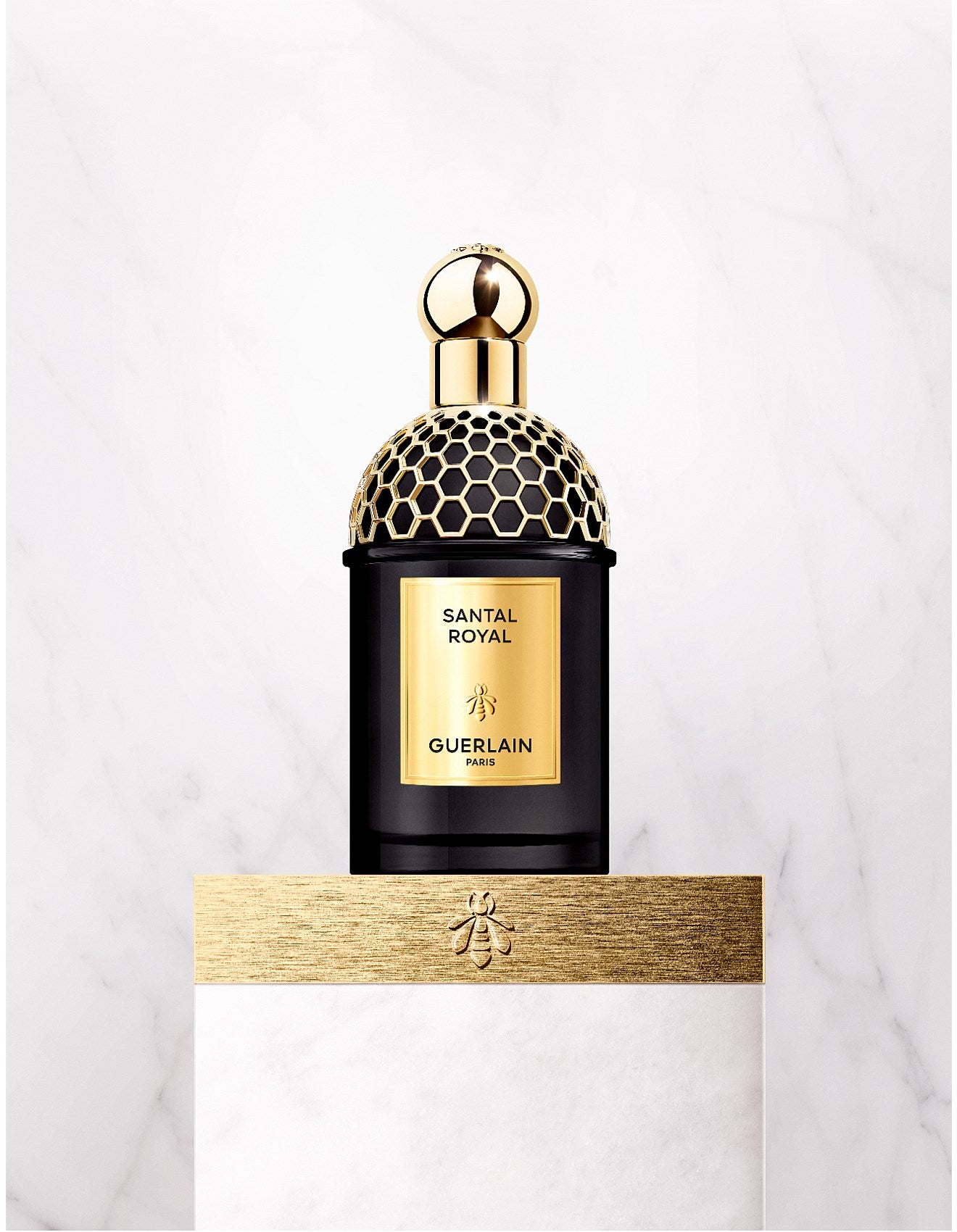 ABSOLUS ALLEGORIA OUD ESSENTIEL EDP 125ML