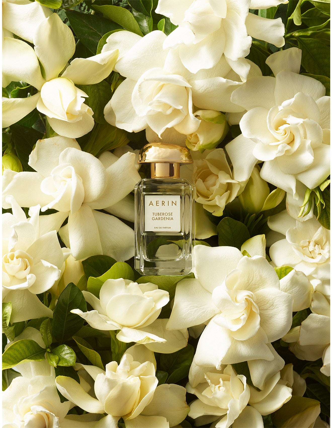 AERIN TUBEROSE GARDENIA EAU DE PARFUM SPRAY 50ML