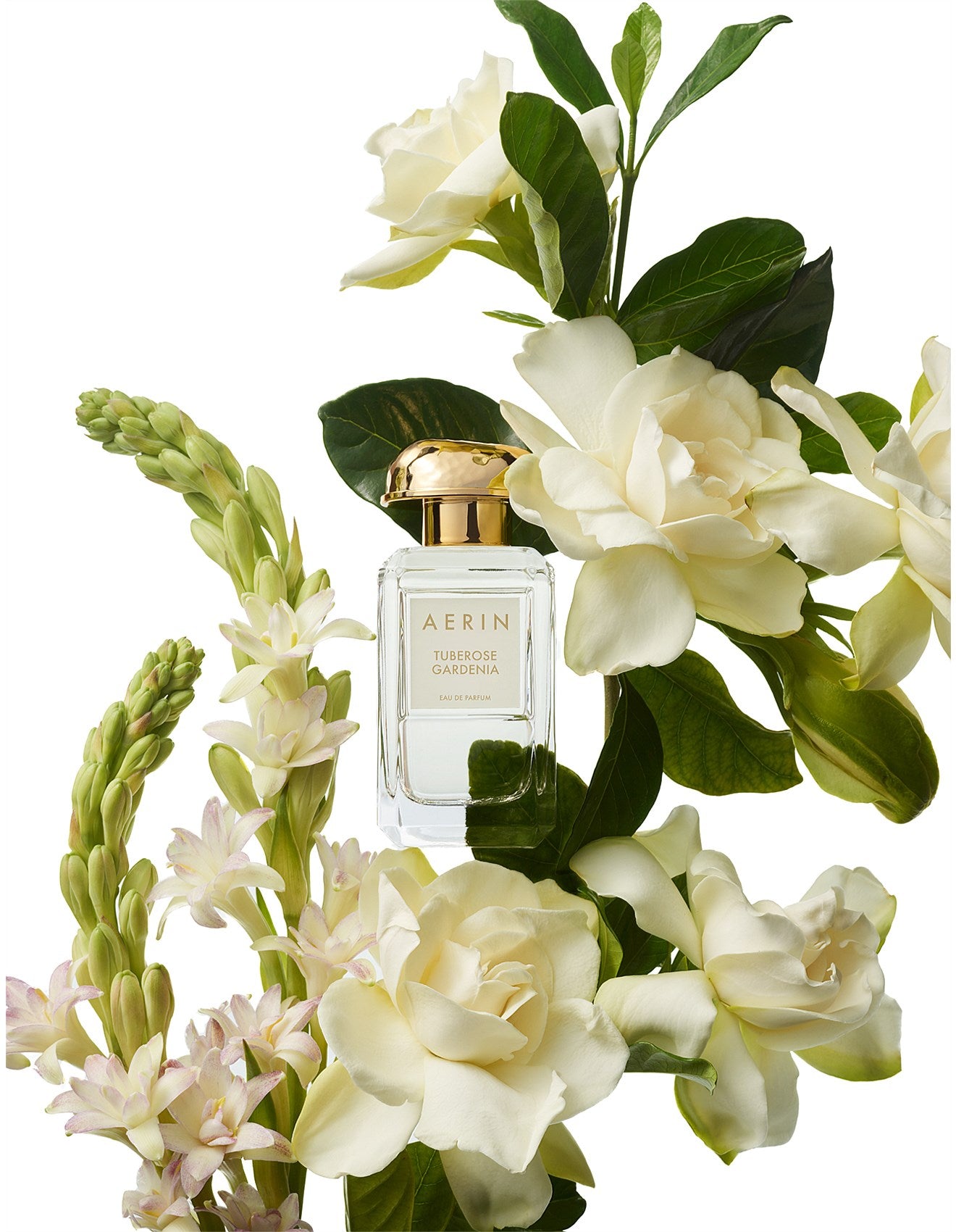 AERIN TUBEROSE GARDENIA EAU DE PARFUM SPRAY 50ML