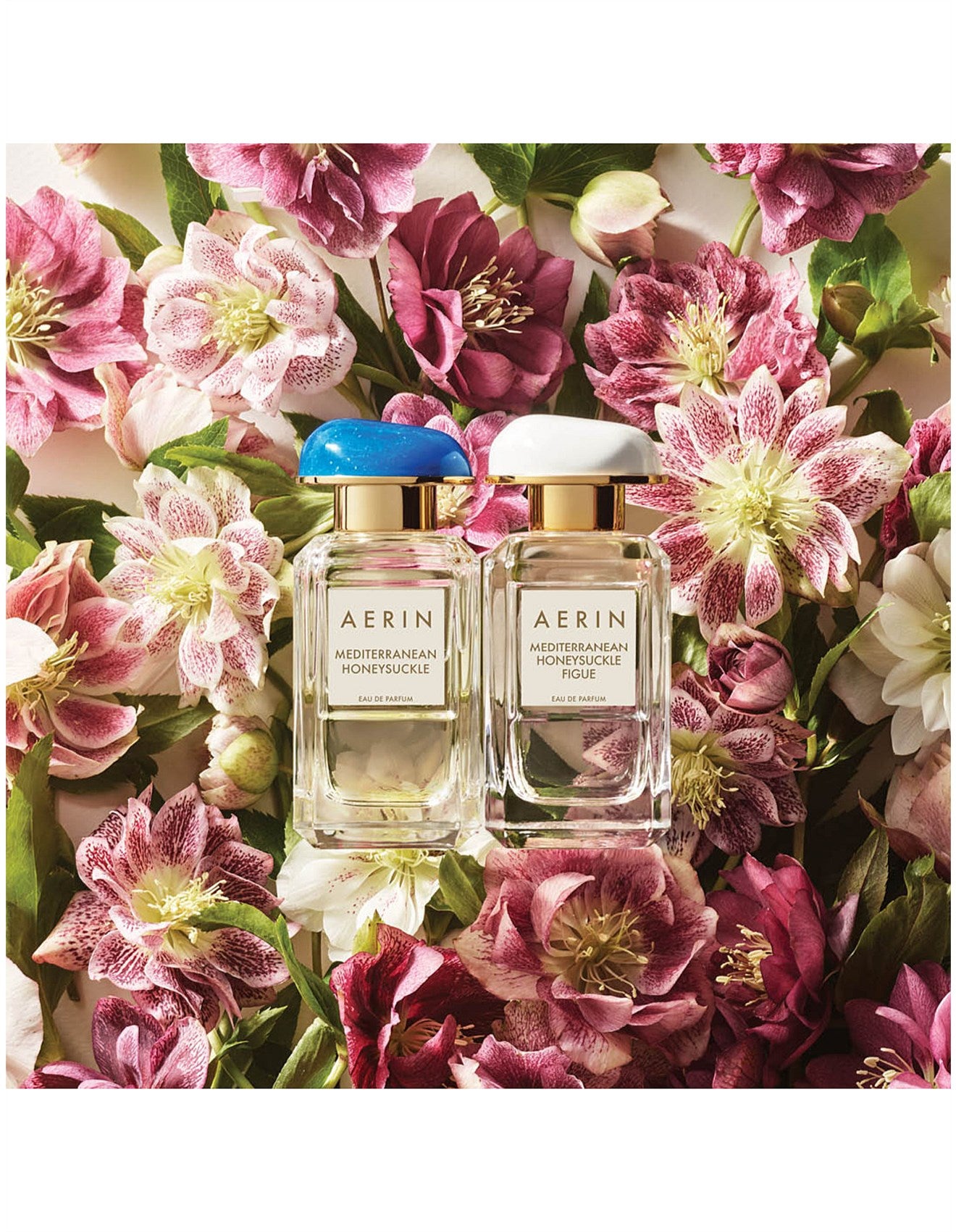 AERIN MEDITERRANEAN HONEYSUCKLE FIGUE EAU DE PARFUM 50ML