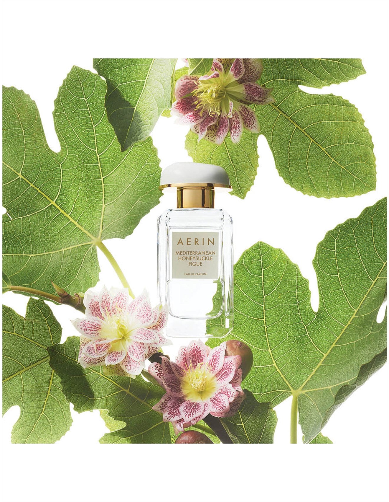 AERIN MEDITERRANEAN HONEYSUCKLE FIGUE EAU DE PARFUM 50ML
