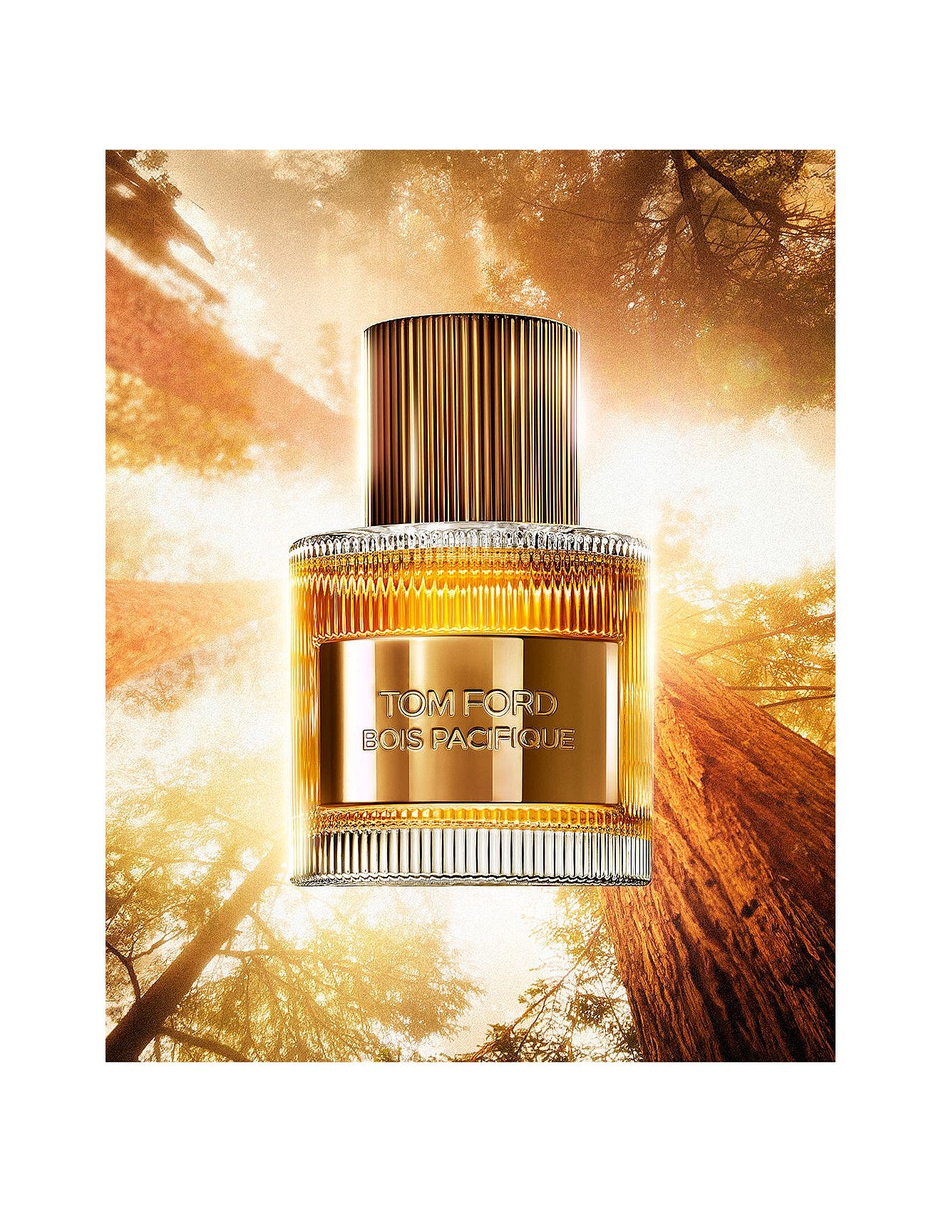 BOIS PACIFIQUE EAU DE PARFUM 50ML