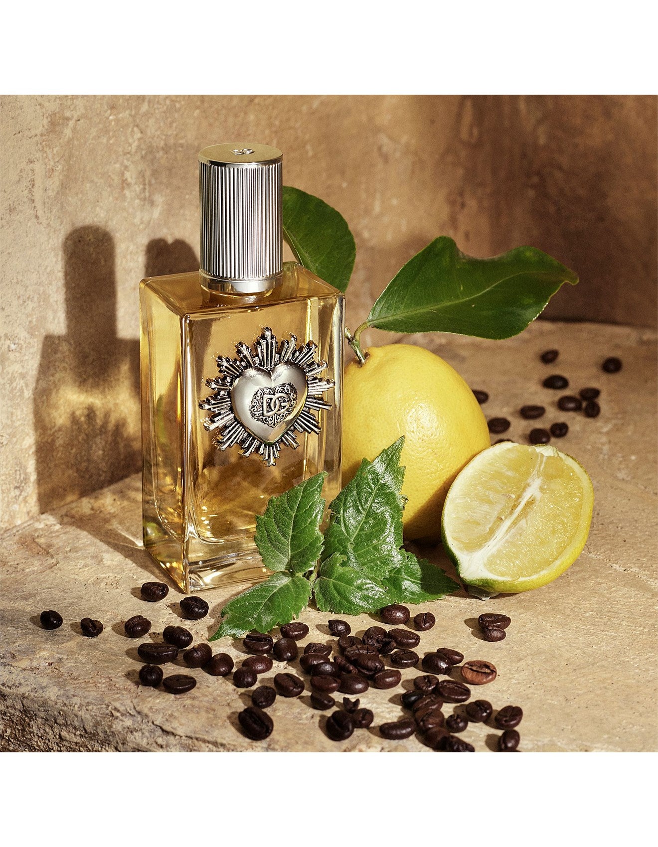 DEVOTION MALE EDP 50ML