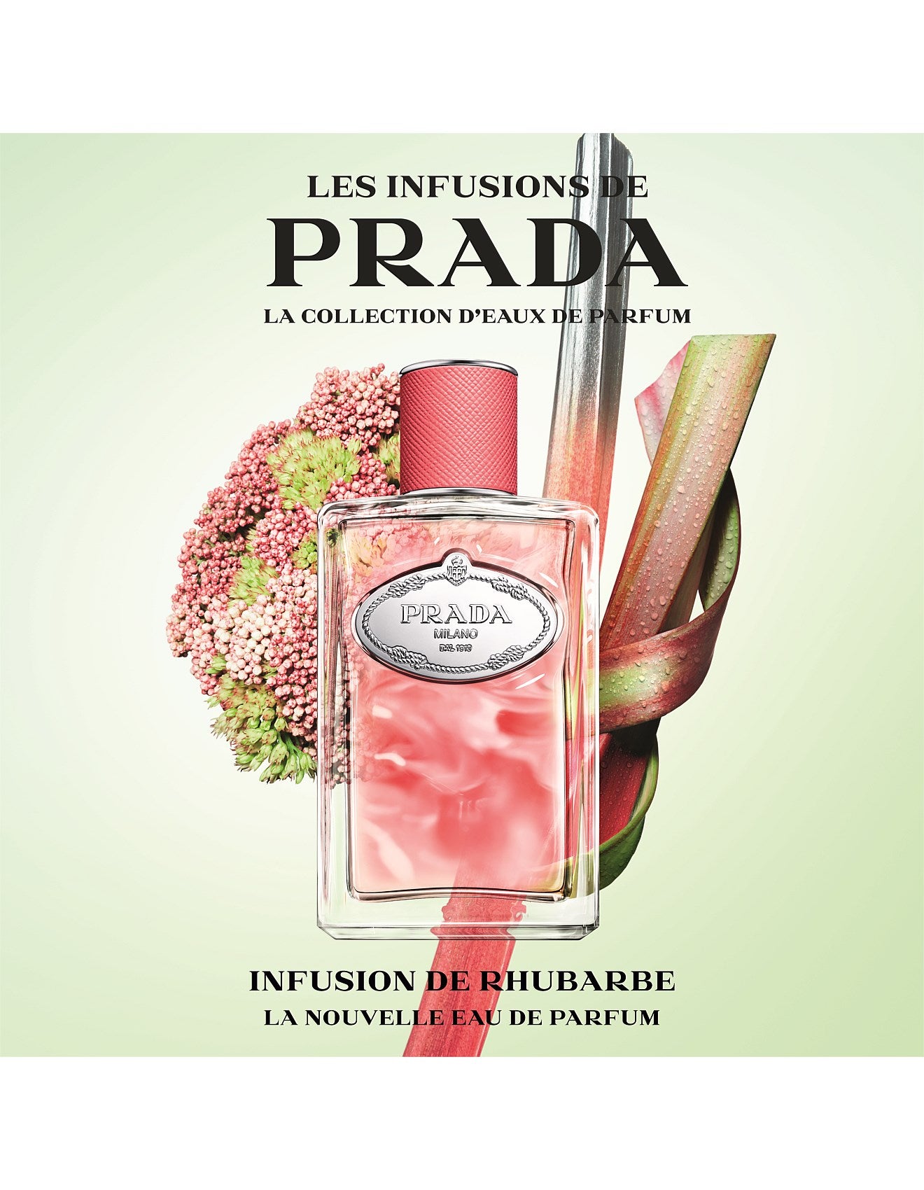 PRADA INFUSION DE RHUBARBE EDP 100ML