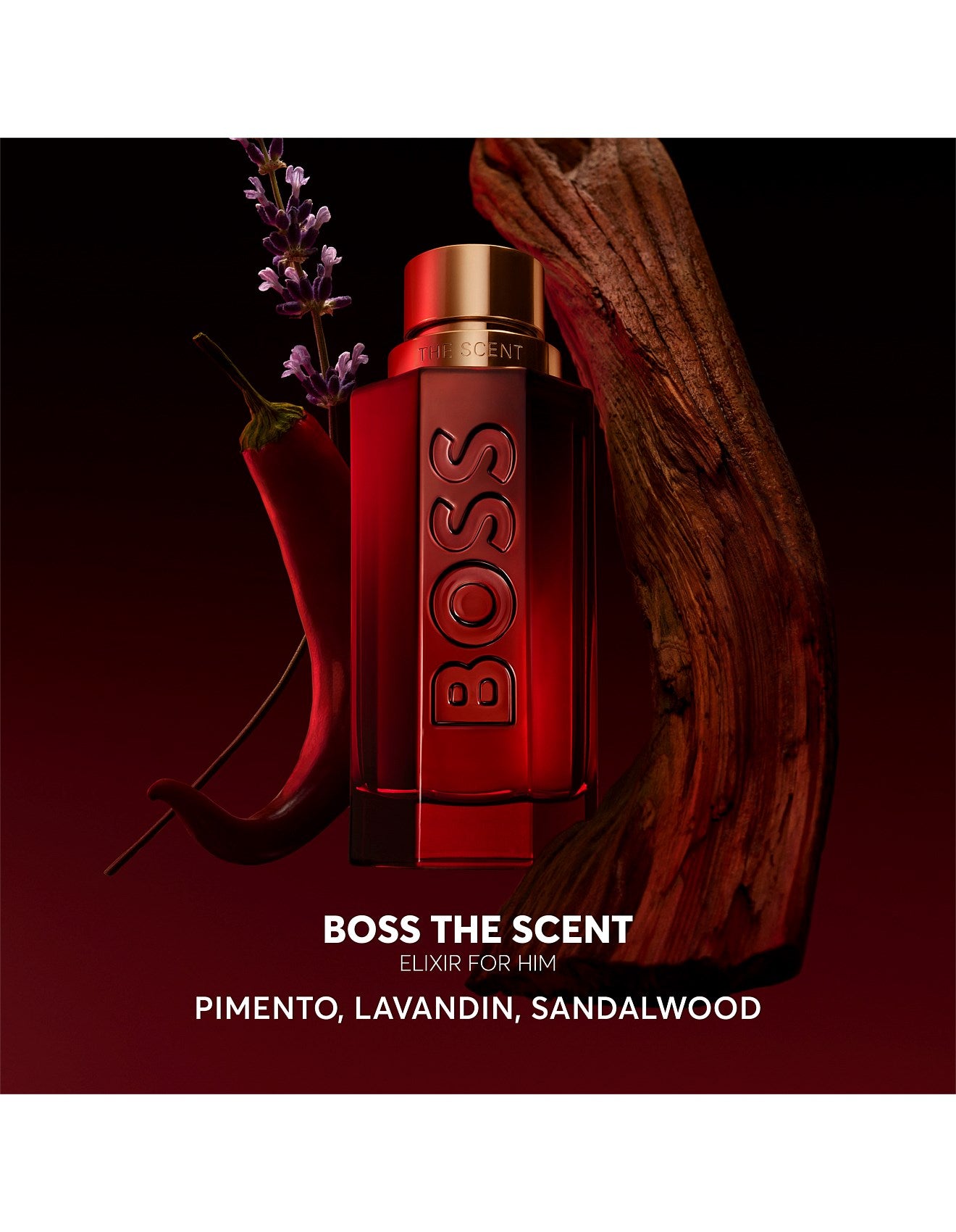 THE SCENT ELIXIR FOR HIM 50ML