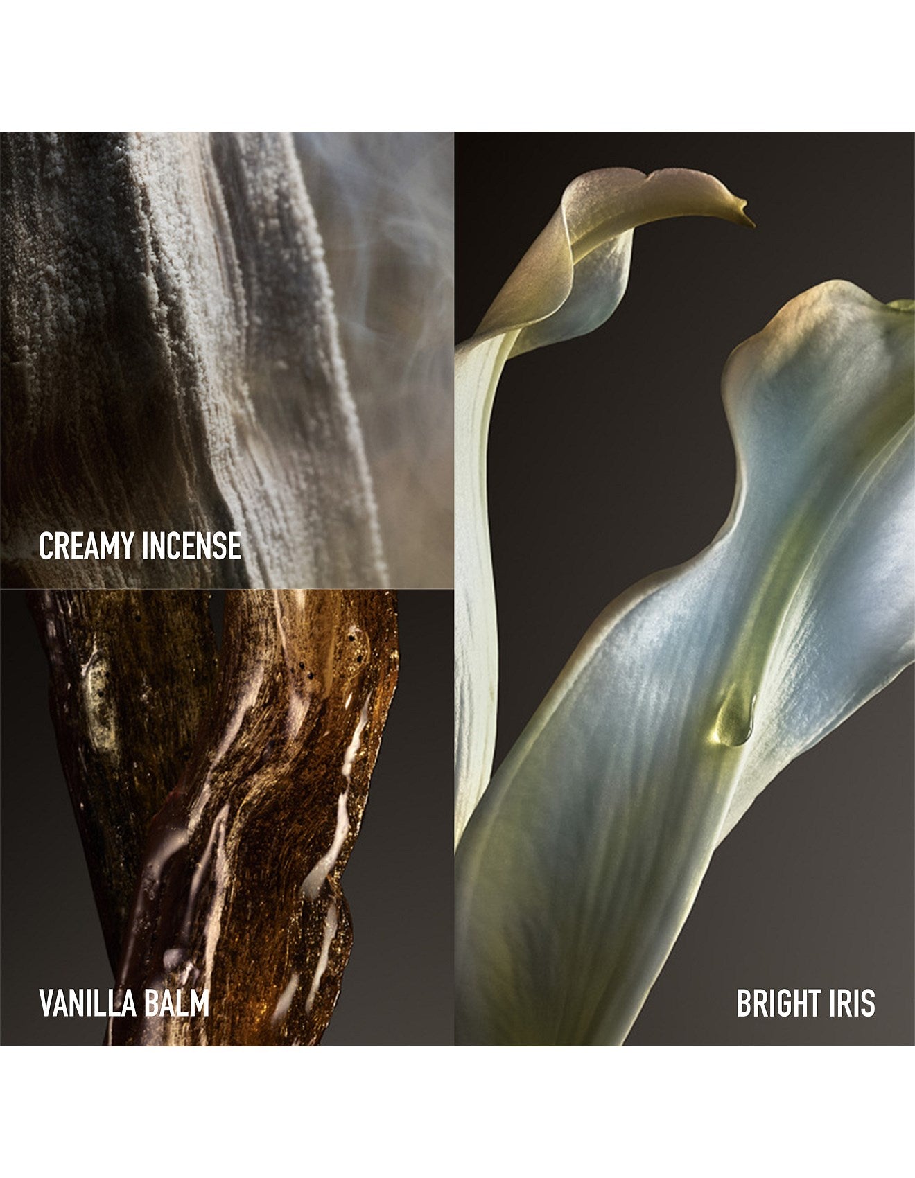 FAME THE COUTURE LIMITED EDITION EDP 80ML