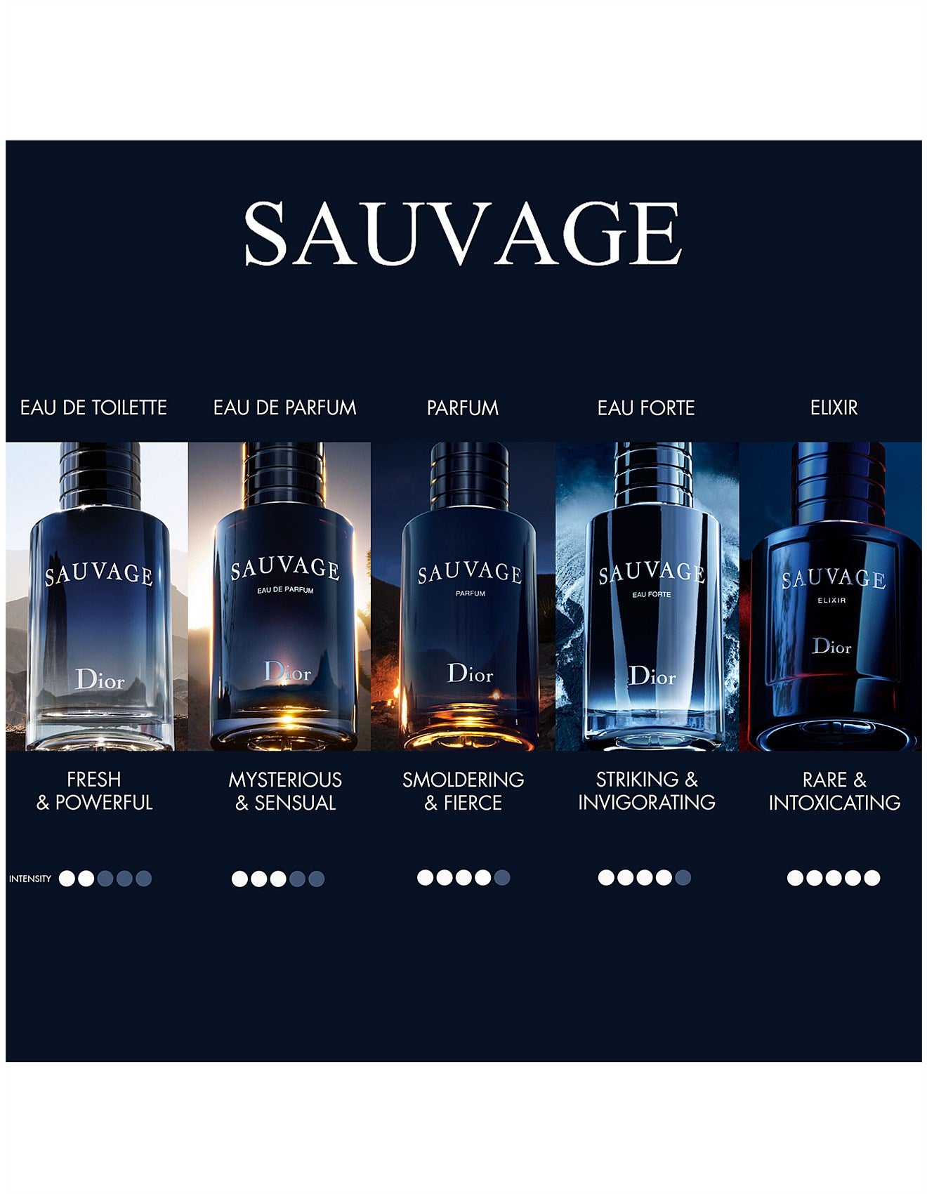 SAUVAGE PARFUM 100ML LIMITED EDITION