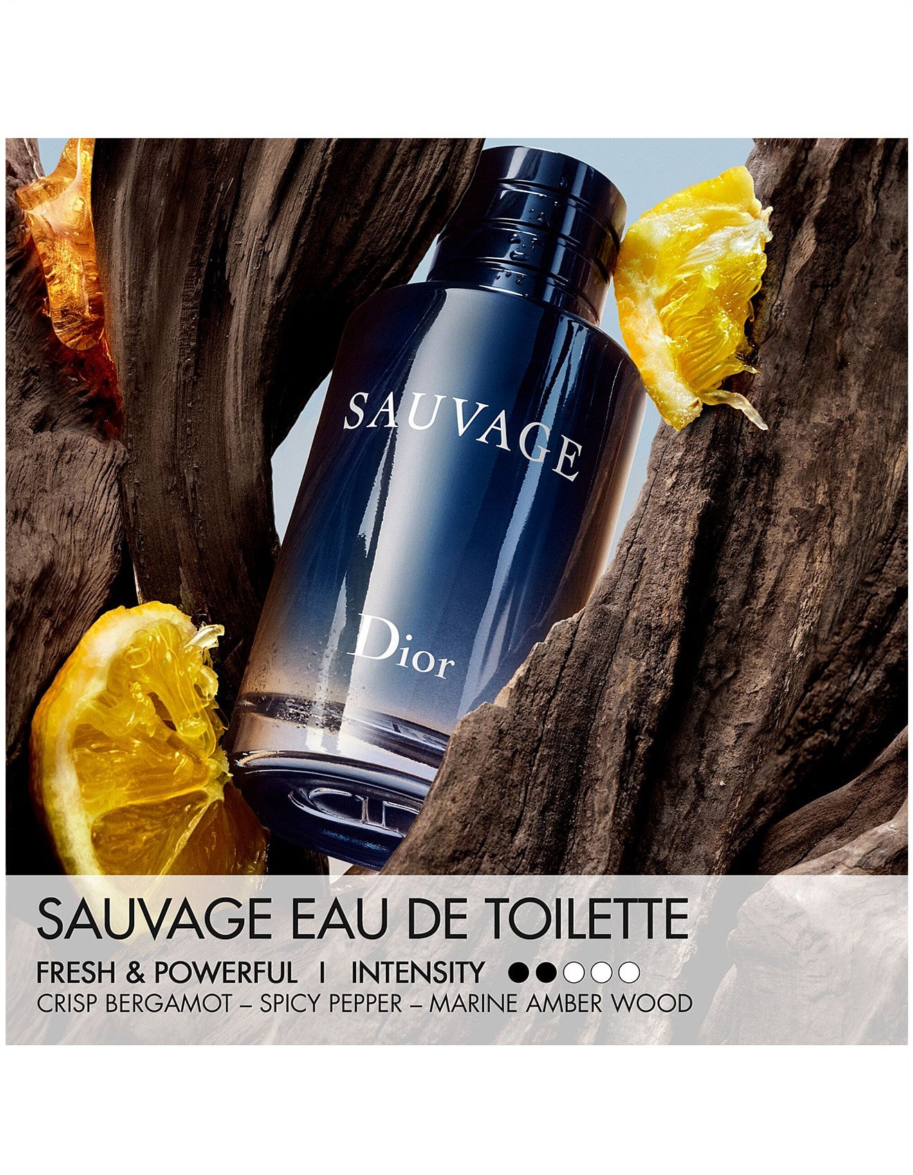 SAUVAGE EAU DE TOILETTE 30ML SPRAY WITH LIMITED EDITION CASE