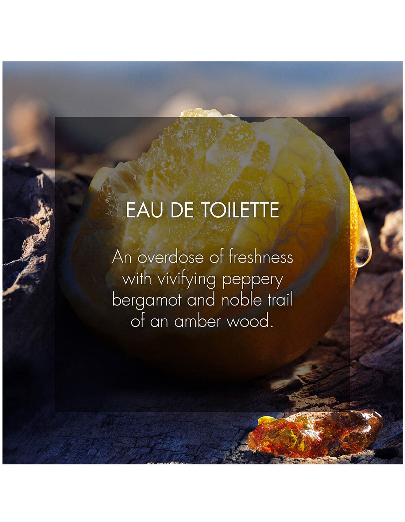 SAUVAGE EAU DE TOILETTE 30ML SPRAY WITH LIMITED EDITION CASE