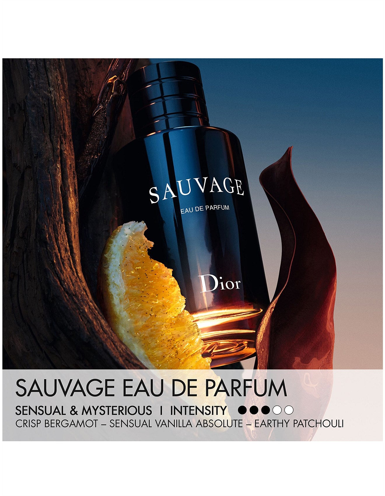 SAUVAGE EAU DE PARFUM 30ML SPRAY WITH LIMITED EDITION CASE