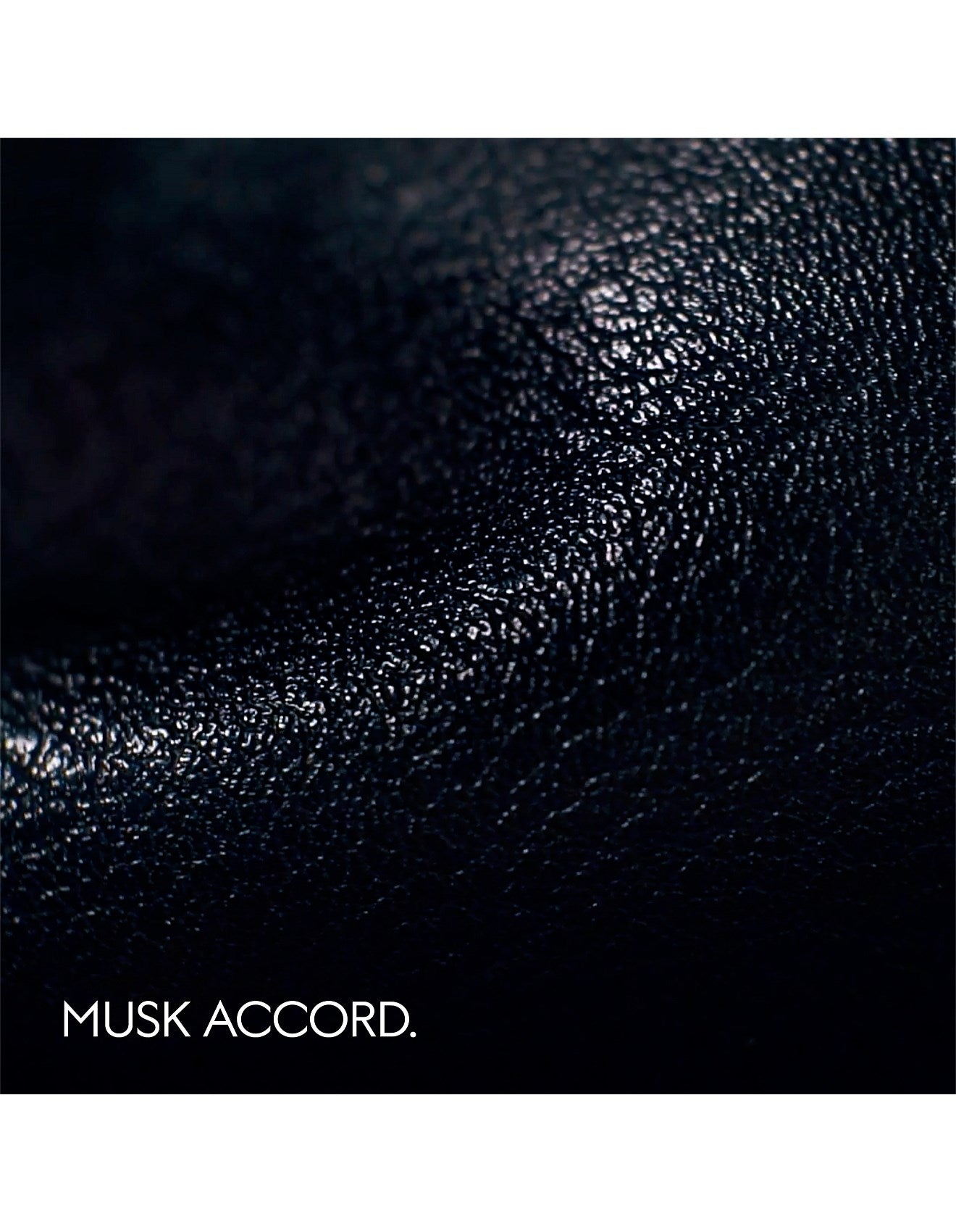 THE ALCHEMIST'S GARDEN MUSCHIO MINERALIS EAU DE PARFUM UNISEX 50ML